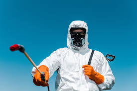 Best Indoor Pest Control  in Northfield, KY